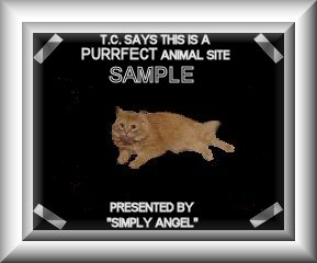 Purrfect Animal Site Award